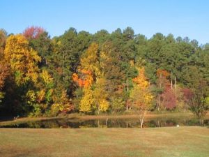  Greensboro's Best Parks and Natural Areas 